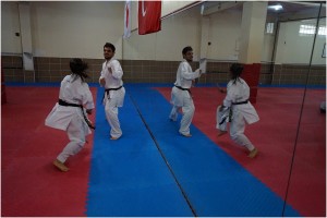 REYKAN KUMITE 030