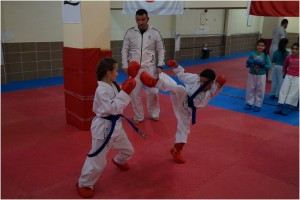 REYKAN KUMITE 040