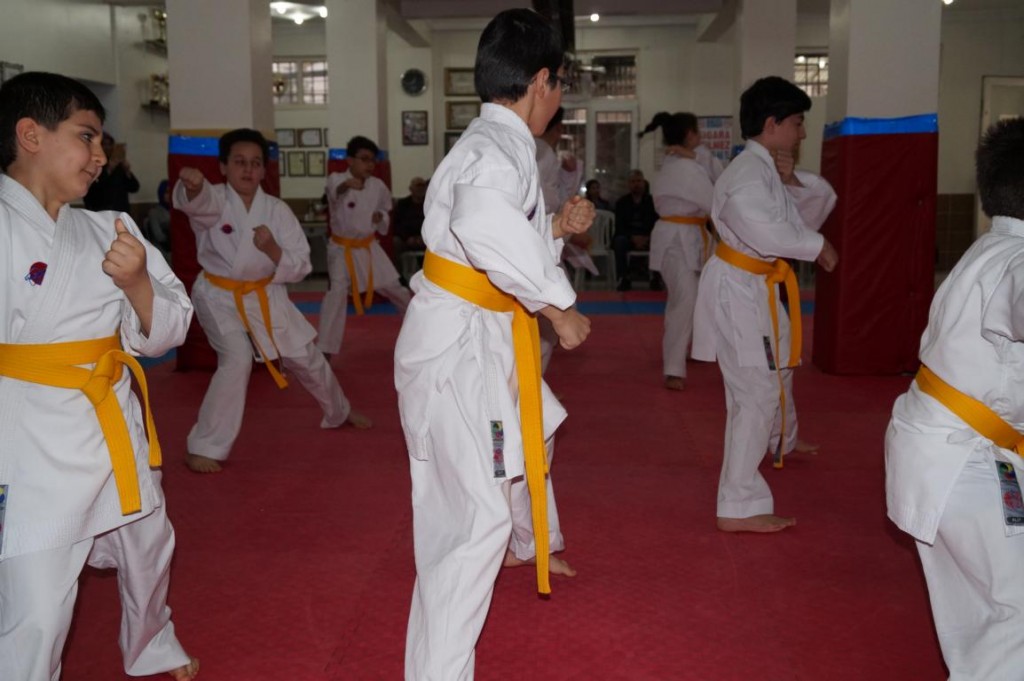 KUSAK TERFI SINAVI 2016 01 033