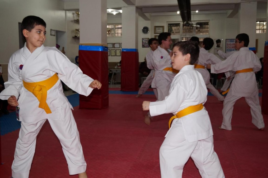 KUSAK TERFI SINAVI 2016 01 046