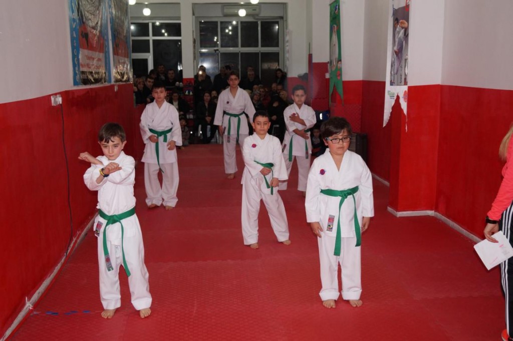 KUSAK TERFI SINAVI 2016 01 350